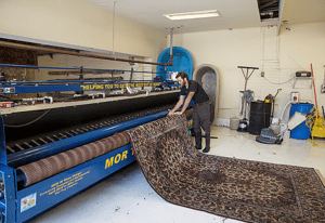 rug cleaning business