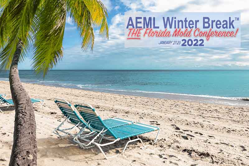 Palm tree and beach chairs at the coastline in Florida. Empty turquoise colored beach chairs on white sandy beach on the Florida coastline. Coconut palm tree in front of image. Sea, horizon and cloudy sky in the background. Wide image.