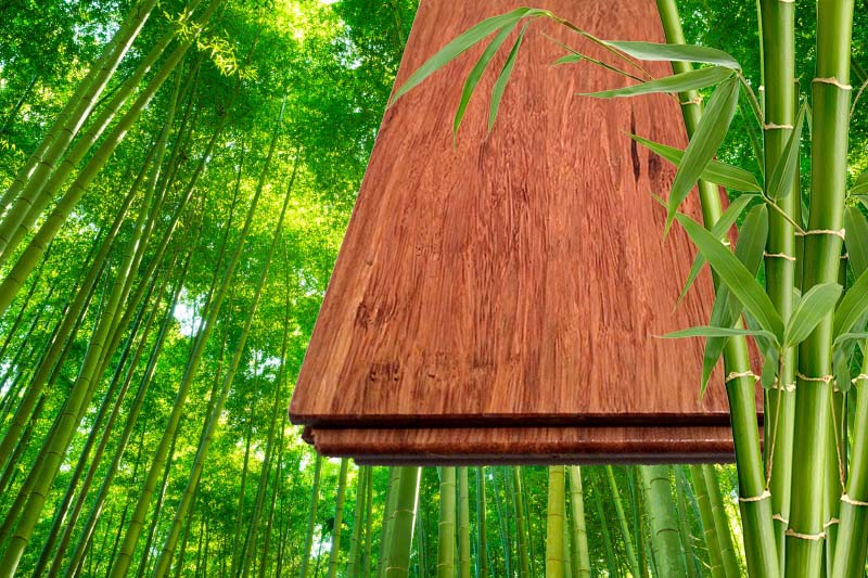 Bamboo-flooring-image