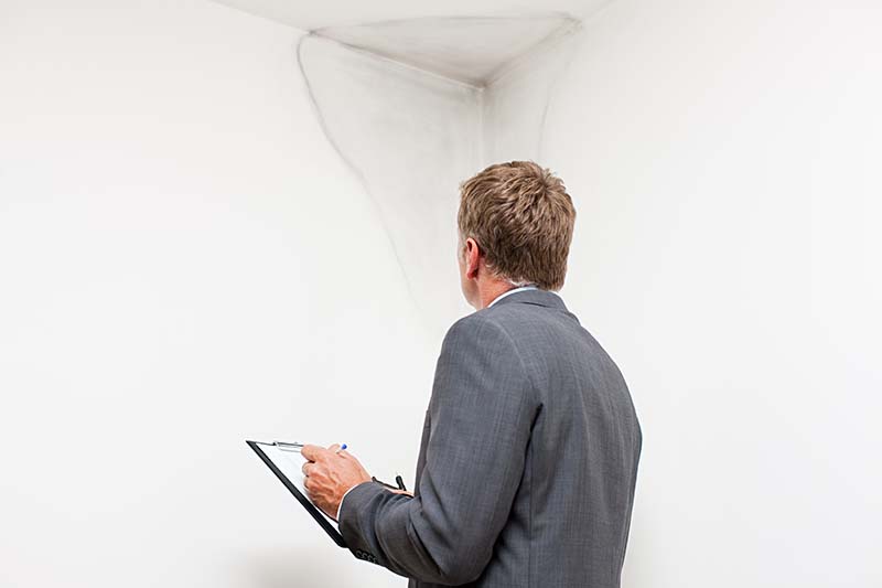 Mature man examining damp patch on wall