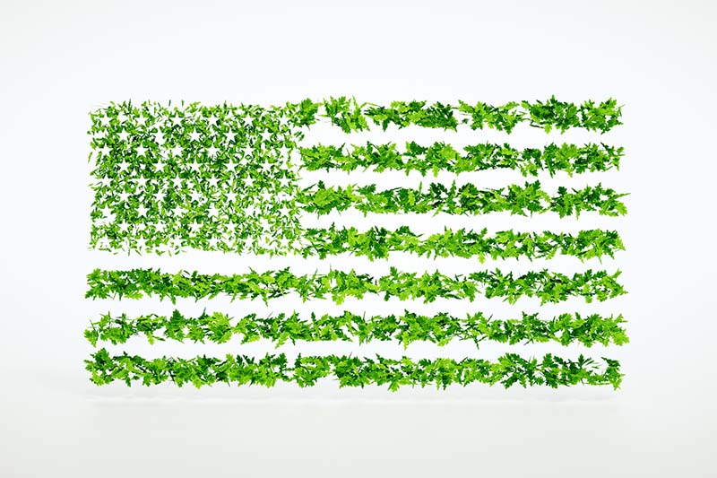 Concept of eco friendly United States. 3D rendering.