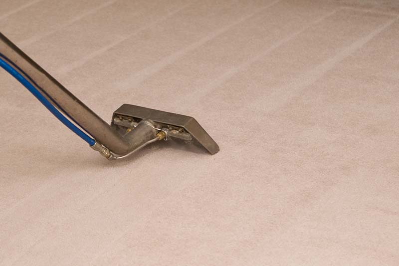 This is the process of professional steam cleaning carpets.