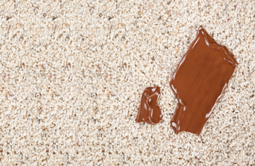 Chocolate bar dropped on carpet