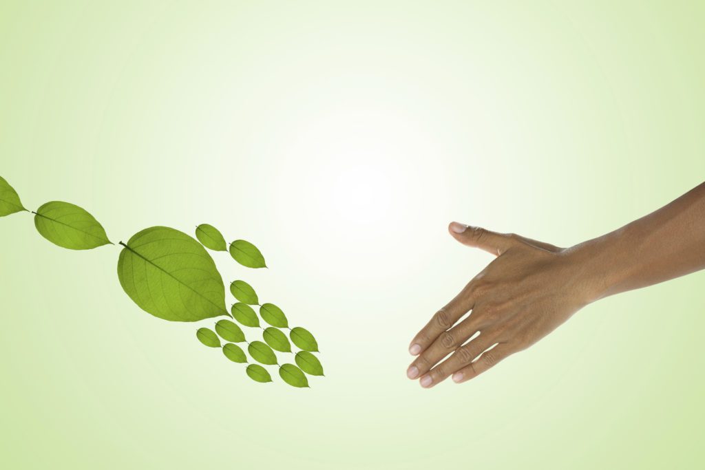 Environment concept Handshake between human hand and tree.