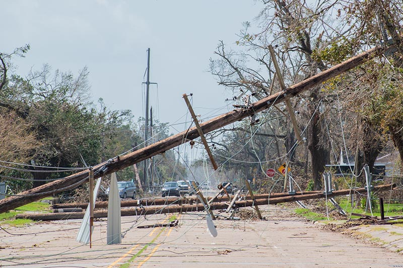 Telephone poles toppled over after Hurricane Laura