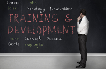 Training and development terms written on a blackboard