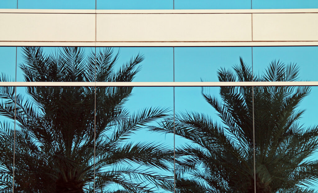 Two Palm Trees Reflected in Windows