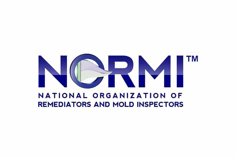 NORMI logo
