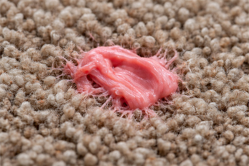 gum on carpet