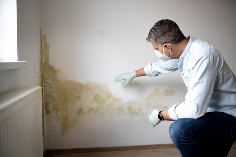 Man looking at mold on wall