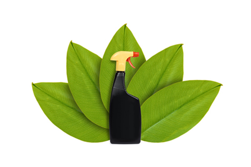 green bottle with green leaves