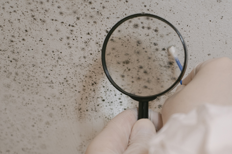 biotoxin assessment kit