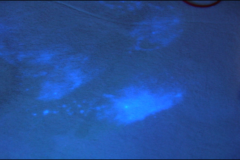 optical brightener UV light