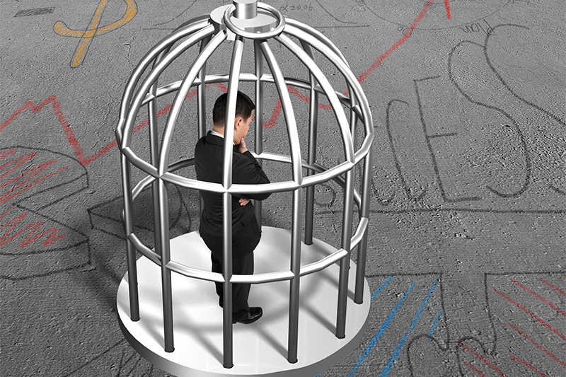 man in a birdcage