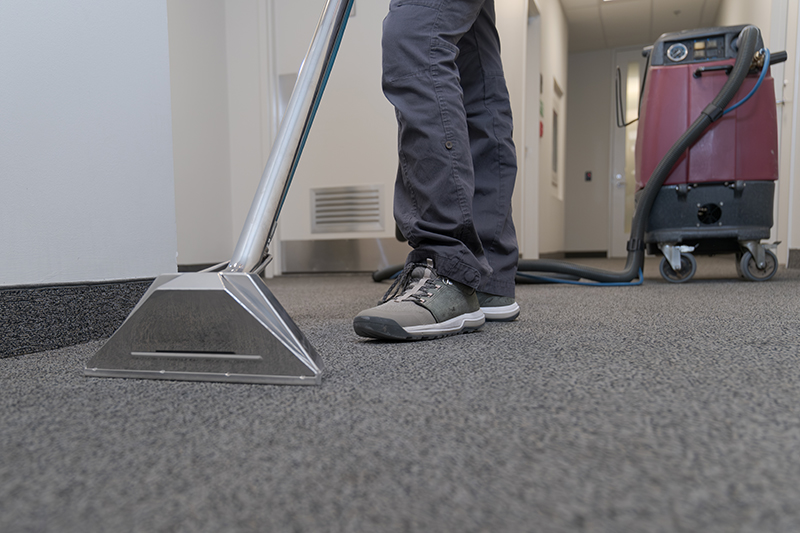 carpet care