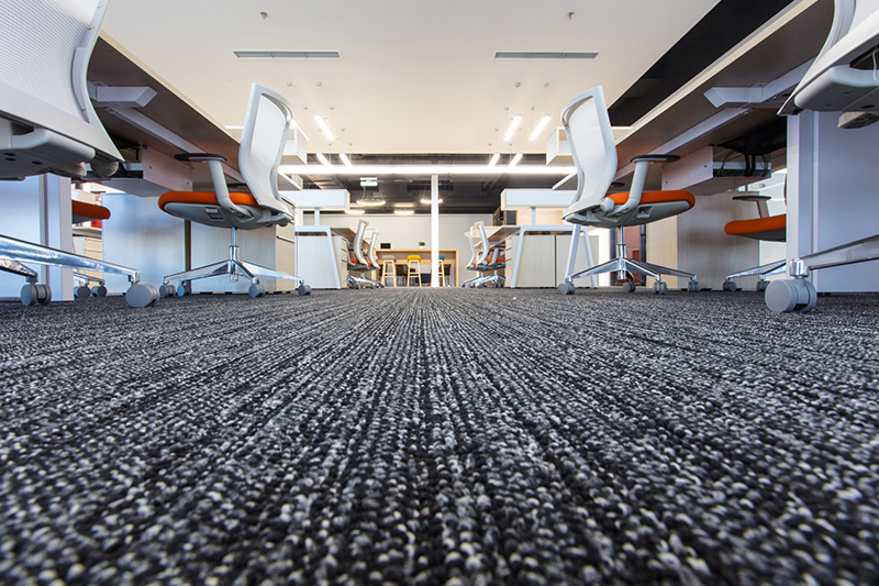 carpet cleaning