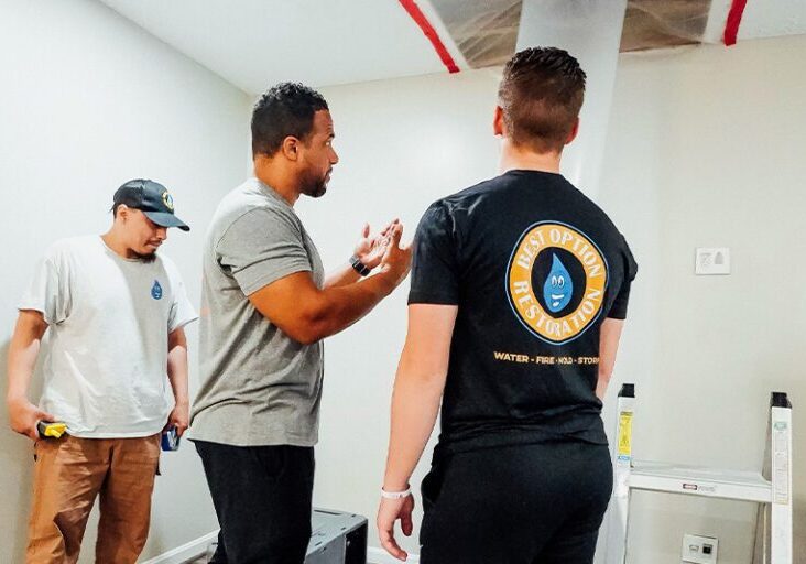 Best Option Restoration