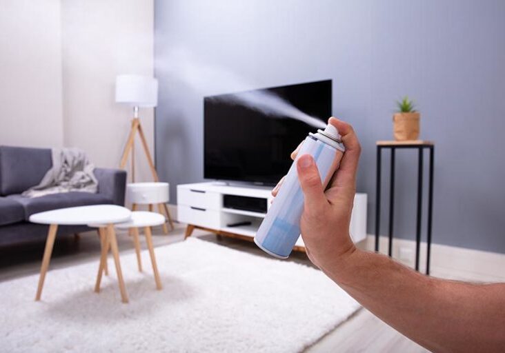 Close-up Of A Person's Hand Spraying Air Freshener In Living Room