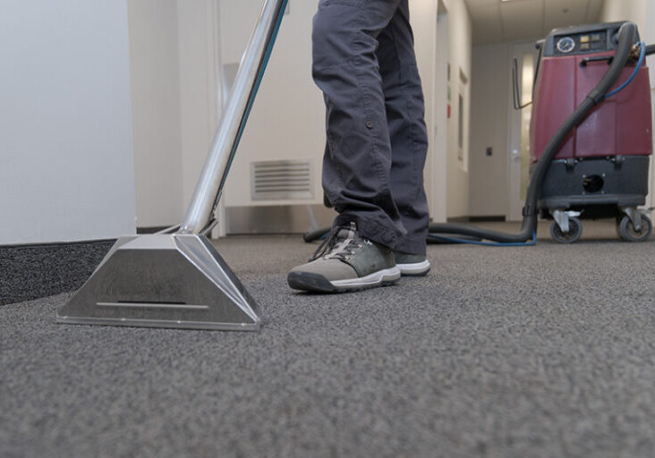 carpet care