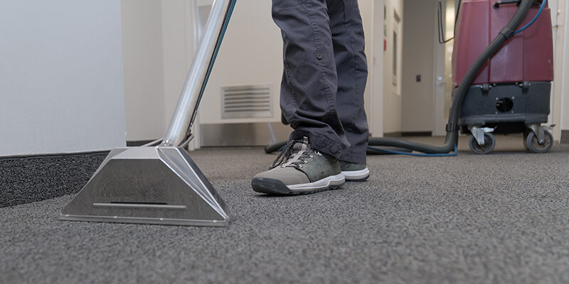 carpet care