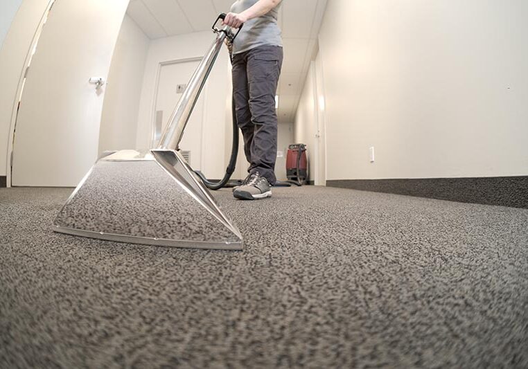 carpet cleaning