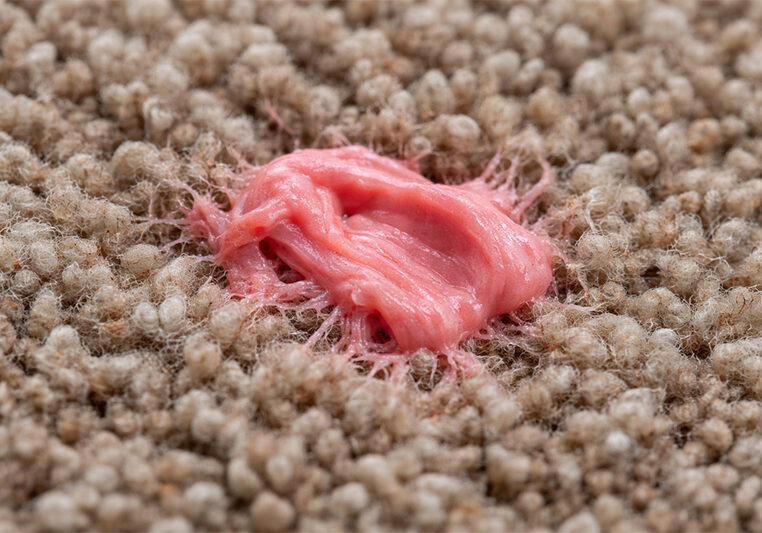 gum on carpet