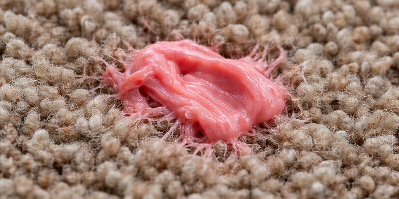 gum on carpet