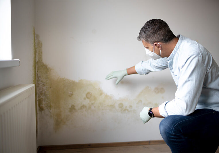 Man looking at mold on wall