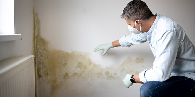 Man looking at mold on wall