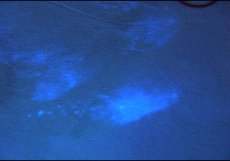 optical brightener UV light