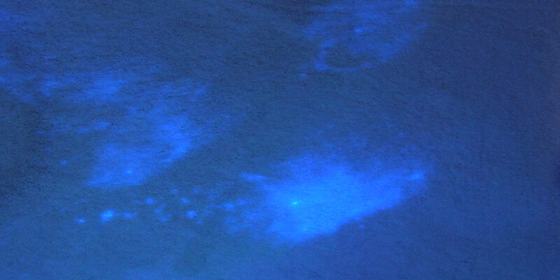 optical brightener UV light