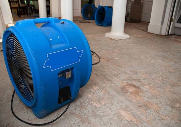 air-mover-in-water-damaged-room-with-mold-damage-is-dead-mold-safe