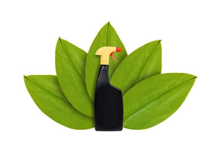 green bottle with green leaves
