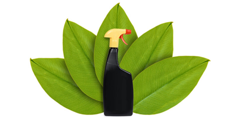 green bottle with green leaves