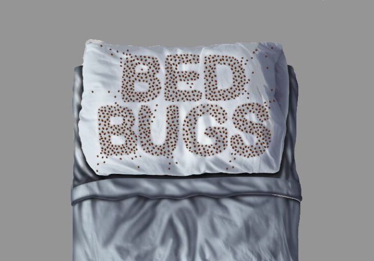 Bed bug on pillow and in bed as a bedbug infestation concept shaped as text letters as parasitic insect pests under the sheets as a hygiene health care symbol and metaphor of parasite bite danger inside a mattress.