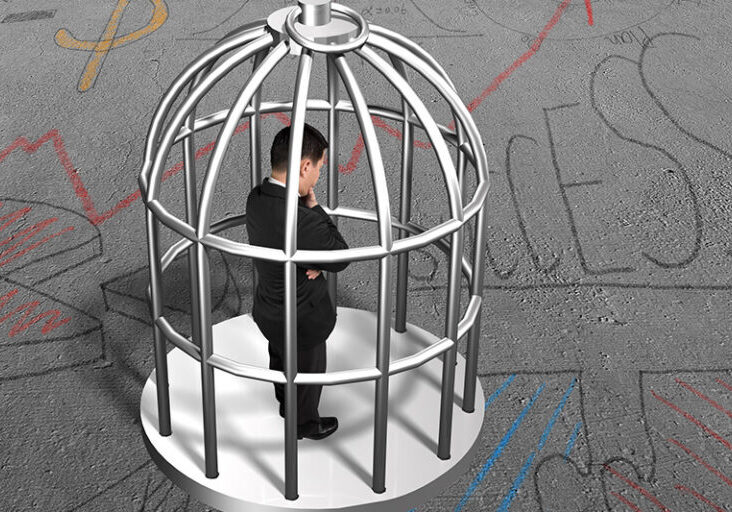 man in a birdcage