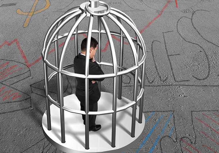 man in a birdcage