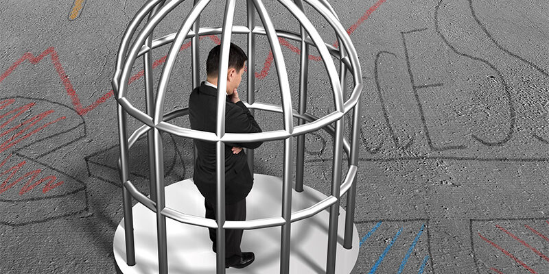 man in a birdcage