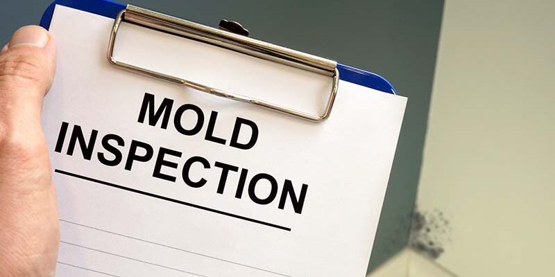 Documents about mold inspection with clipboard.