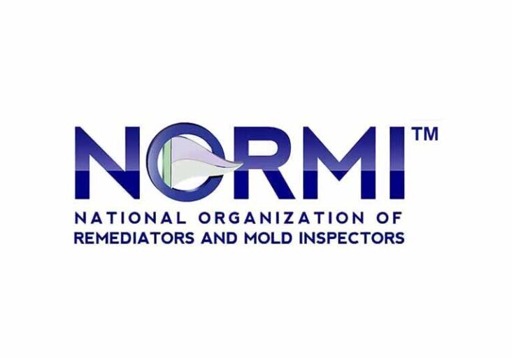 NORMI logo