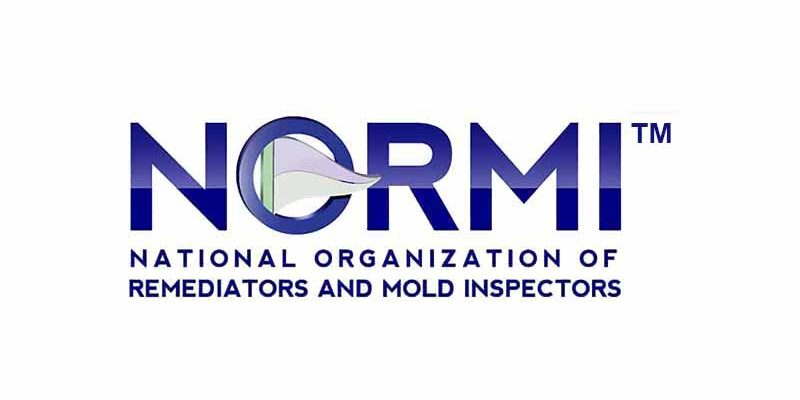 NORMI logo