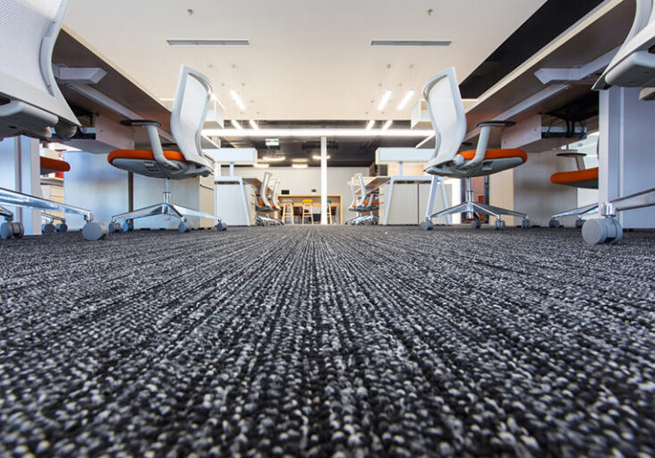 carpet cleaning