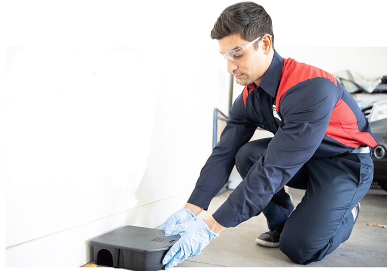 pest control