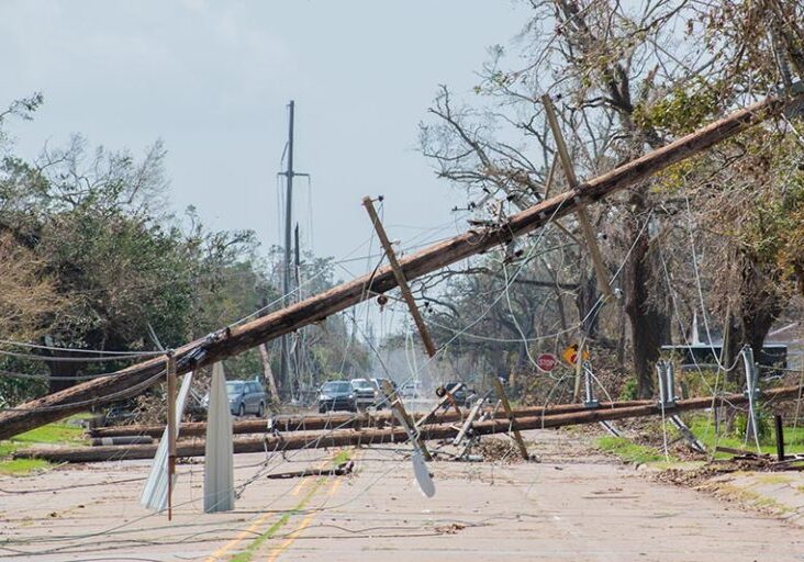 Telephone poles toppled over after Hurricane Laura