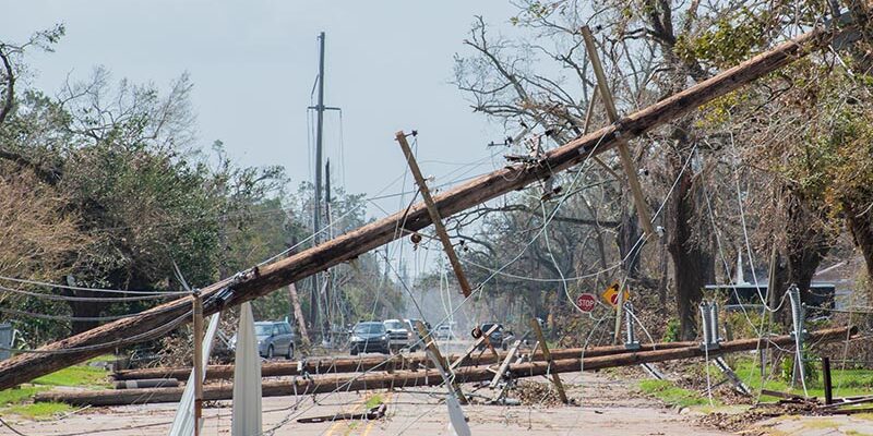 Telephone poles toppled over after Hurricane Laura